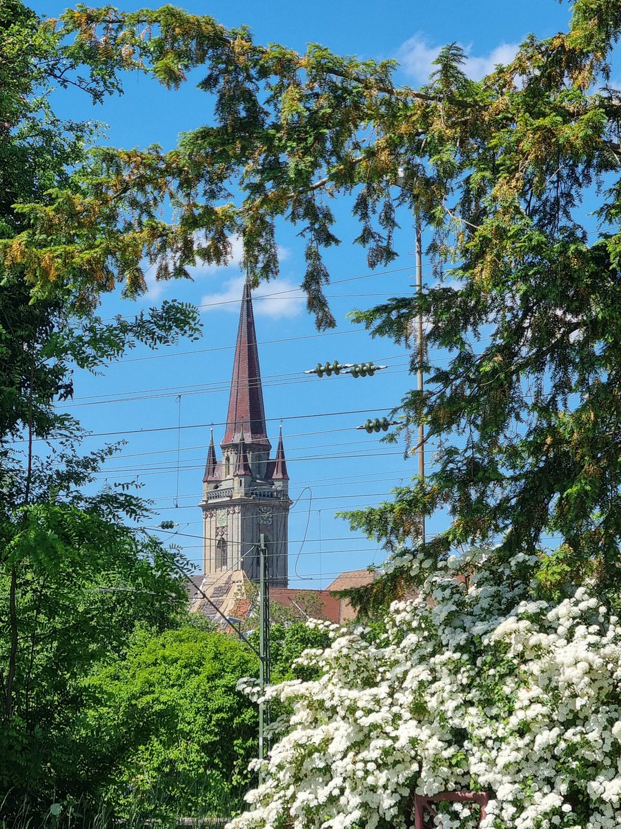 Manuela Lipak (@manuela_lipak) on Twitter photo 