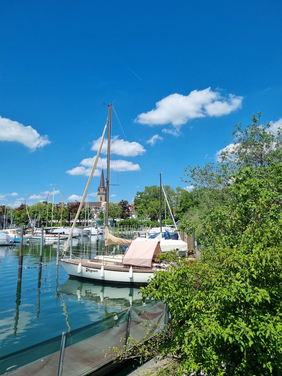 Manuela Lipak (@manuela_lipak) on Twitter photo 