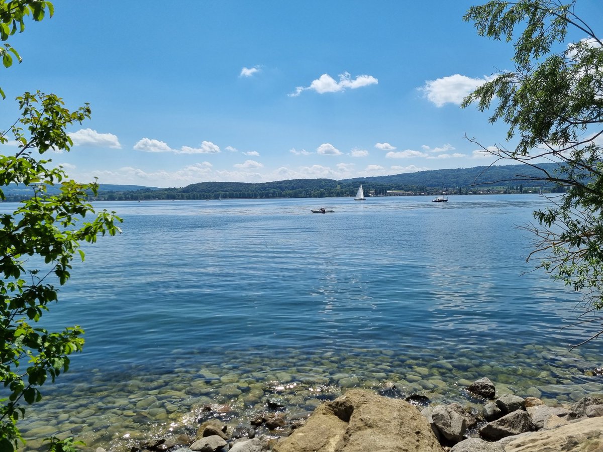 Manuela Lipak (@manuela_lipak) on Twitter photo 