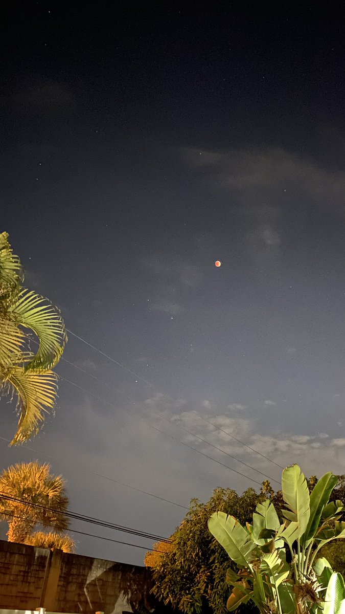 SQL_Tim's tweet image. Clear sky to catch the Super Flower Blood Moon.  #LunarEclipse