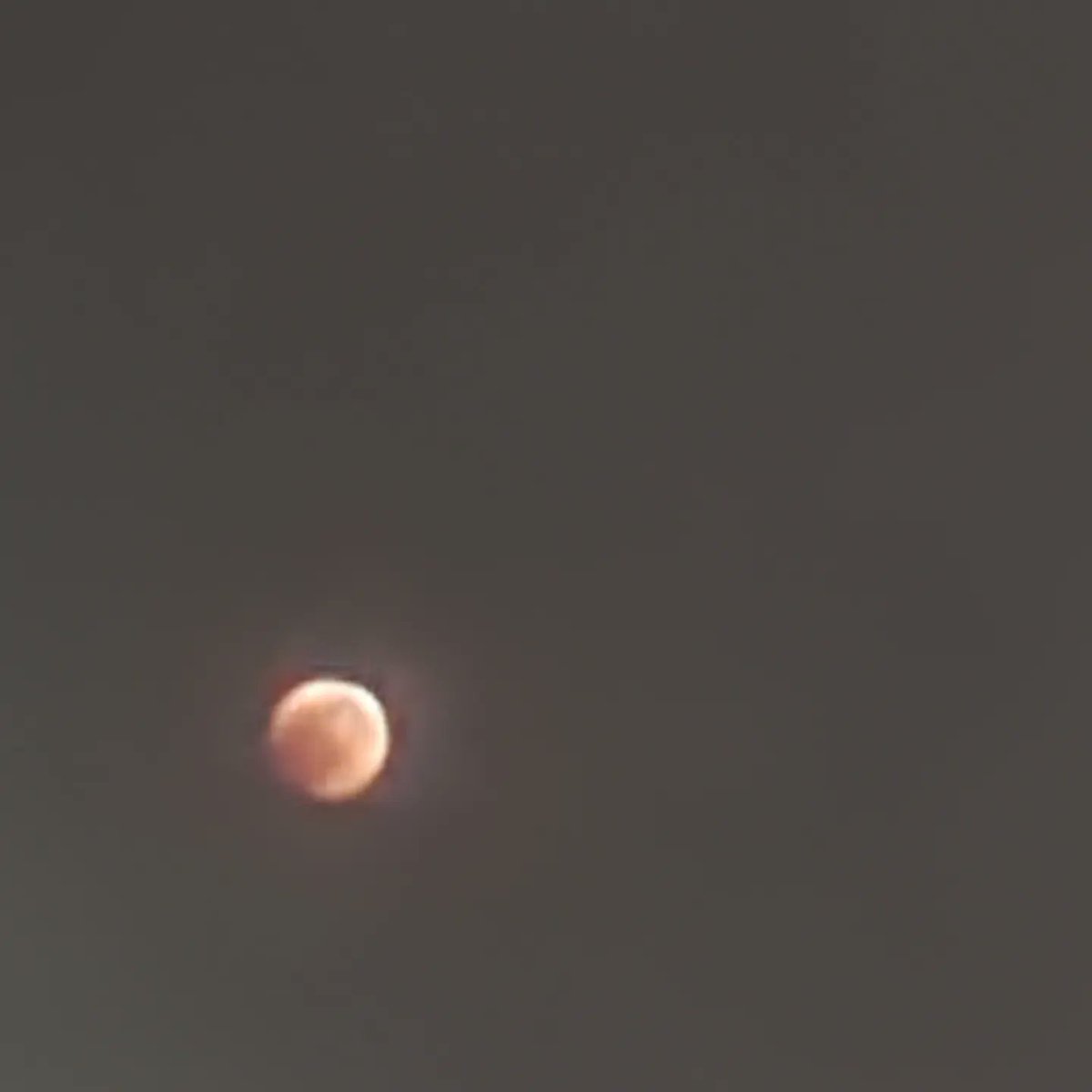itsPemite's tweet photo. La luna :) https://t.co/sqDYk7EJXi