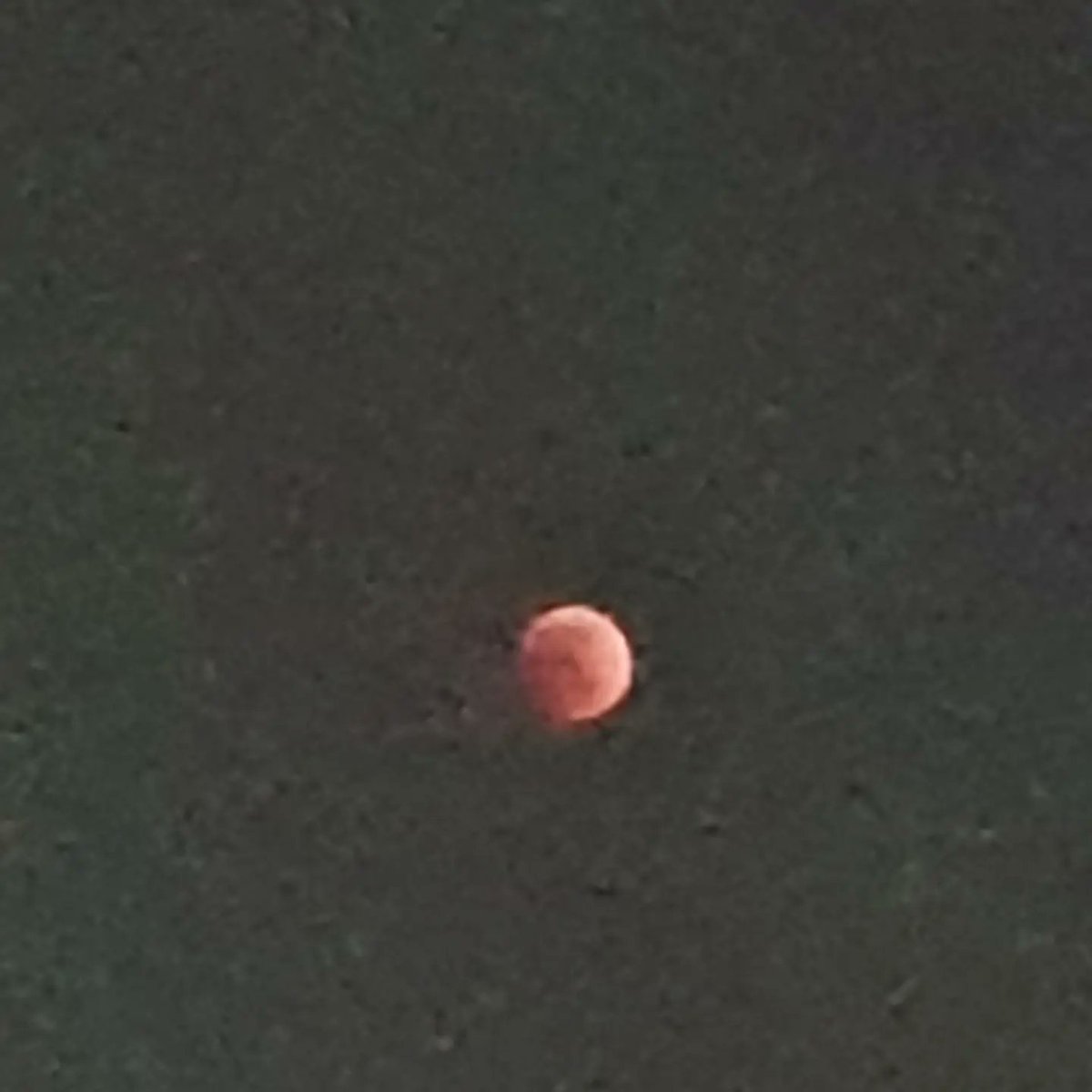 itsPemite's tweet photo. La luna :) https://t.co/sqDYk7EJXi