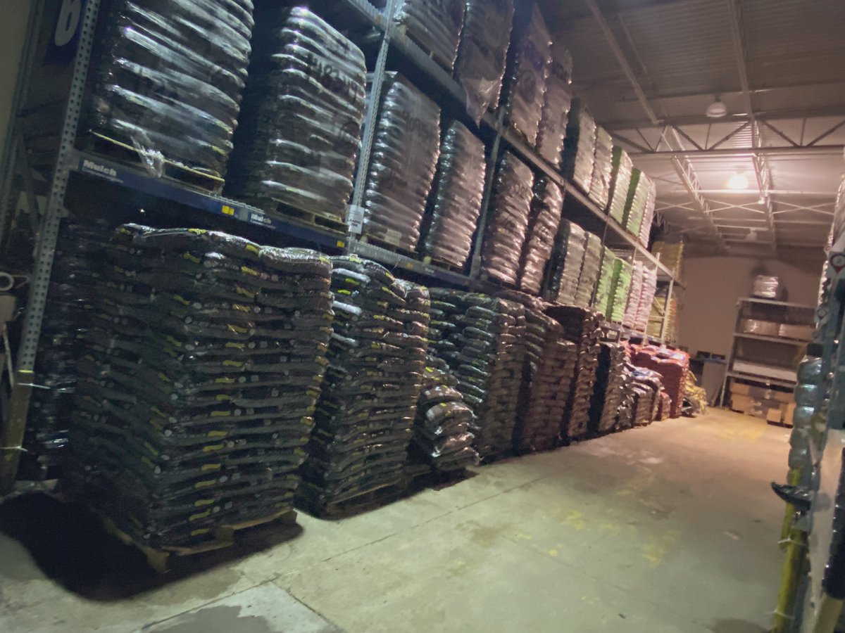 AngeloR1793 tweet media