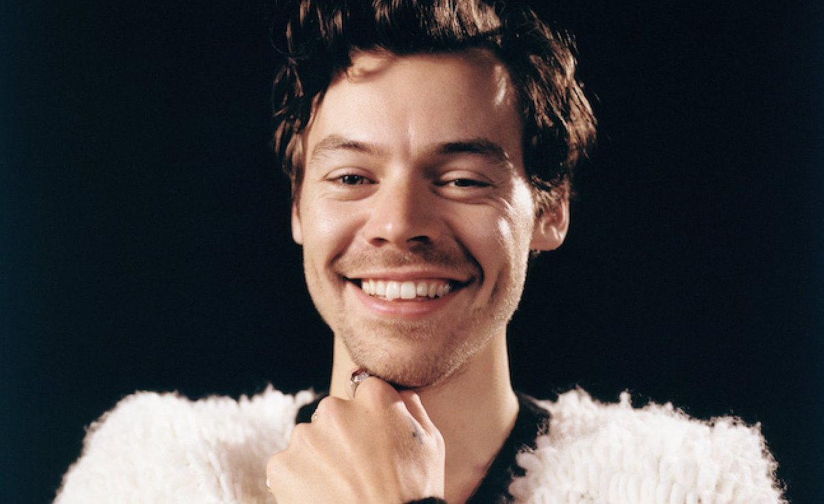 hourlylhh's tweet photo. Harry Styles                Harry Styles
    2015                             2022 https://t.co/4dyDJktCEy