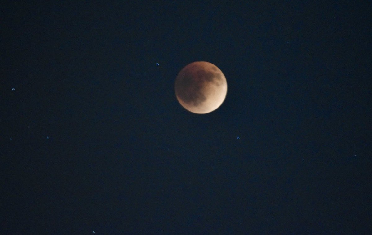 EthanRosuckWX's tweet photo. Tonight’s total lunar #Eclipse from downtown Rockford. Pics by @alirasper4 🌕🌕 absolutely fantastic! @NWSChicago https://t.co/tA3l4REeaK