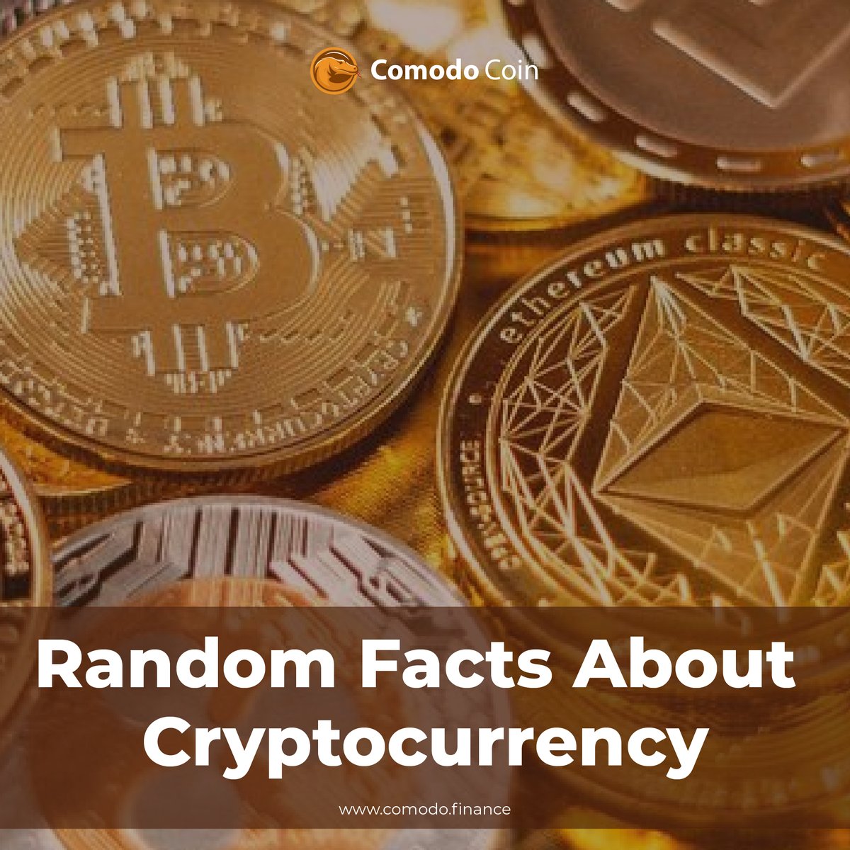 ComodoFinance's tweet photo. Happy #VesakDay, fam! Here's a Random Fact About Cryptocurrency! 

Check the infographic below!🔍

#CMDFacts #CMD #DeFi #altcoin #altseason #airdrops #Terra_Luna #bitcoin #farming #defigem #Grayscale #MicroStrategy https://t.co/ub7Be6iTAu