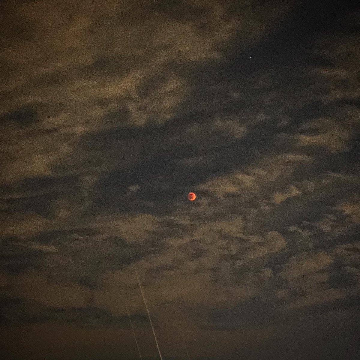 PattyCakes_713's tweet photo. Not too shabby for a camera phone. #iphone #lunareclipse #redbloodmoon 🌒😍 https://t.co/a4kBWxjchP