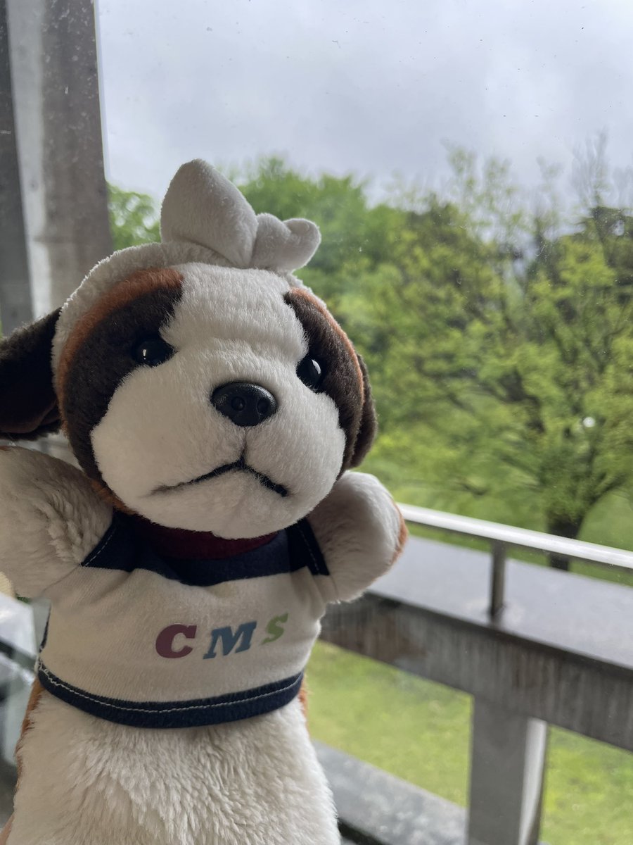 CMSuke tweet picture