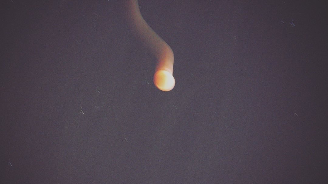 mikeciriello_'s tweet photo. This is crazy😮  #LunarEclipse #BloodMoon #EclipseLunar https://t.co/NIoT4vlUCL