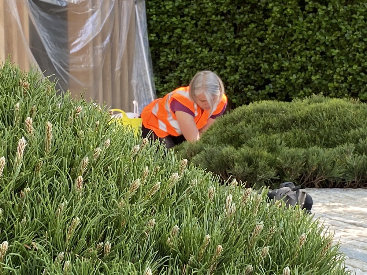 Its genuinely humbling to work with a brilliant team of friends, horticulturalists and professionals to craft the @RNLI Chelsea garden - the attention to detail, unbridled energy and focus brings a joy that radiates. #RNLIatChelsea #ProjectGivingBack #RHSChelsea