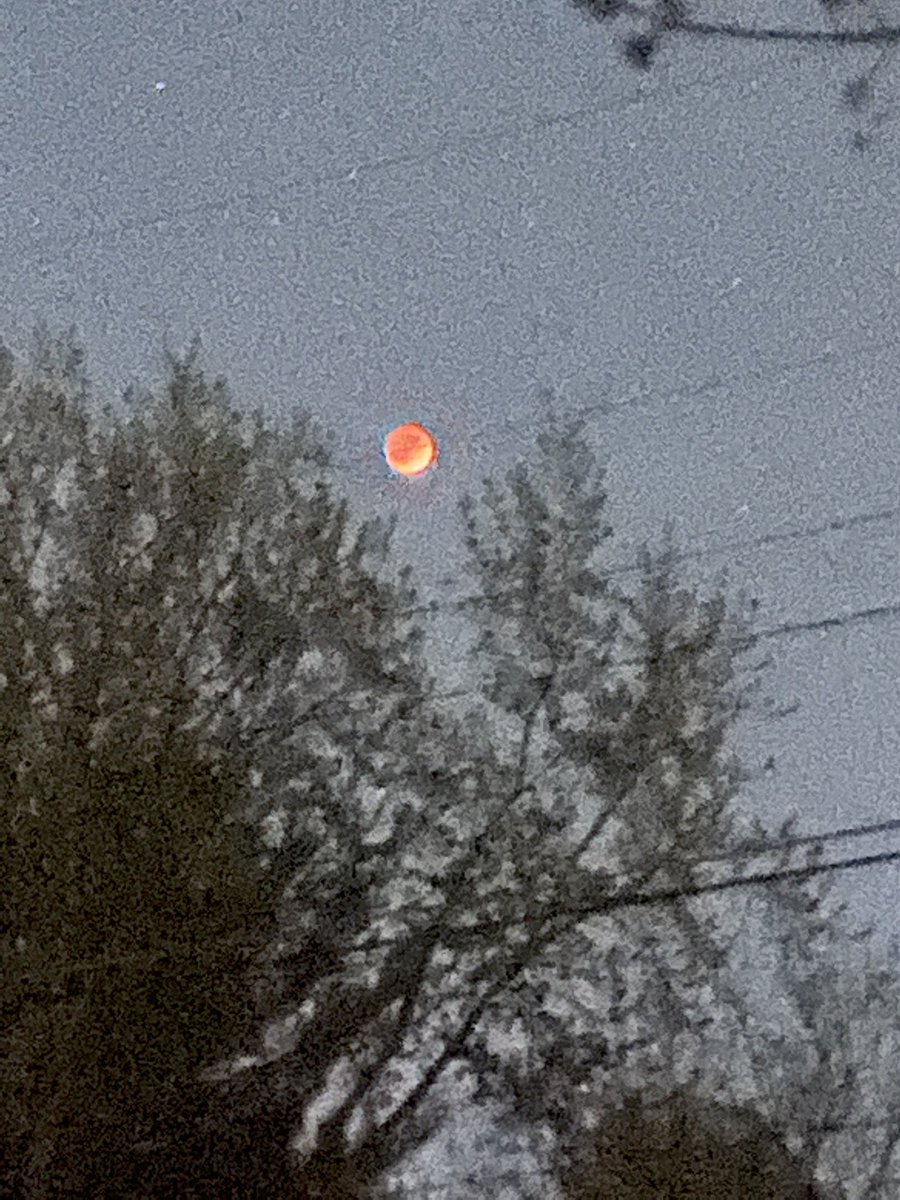 XplrLea's tweet photo. #NASAScienceLive #NASA This is amazing!! 🤯 https://t.co/uJP9viHDH9