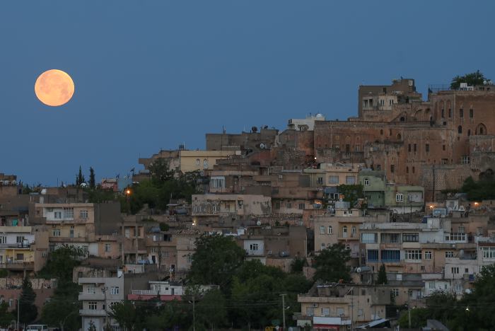 ElUniversalCtg's tweet photo. #EclipseLunar Así se vive el eclipse lunar desde diferentes partes del mundo https://t.co/rV7wlycSbh https://t.co/5wpGv1gQtt