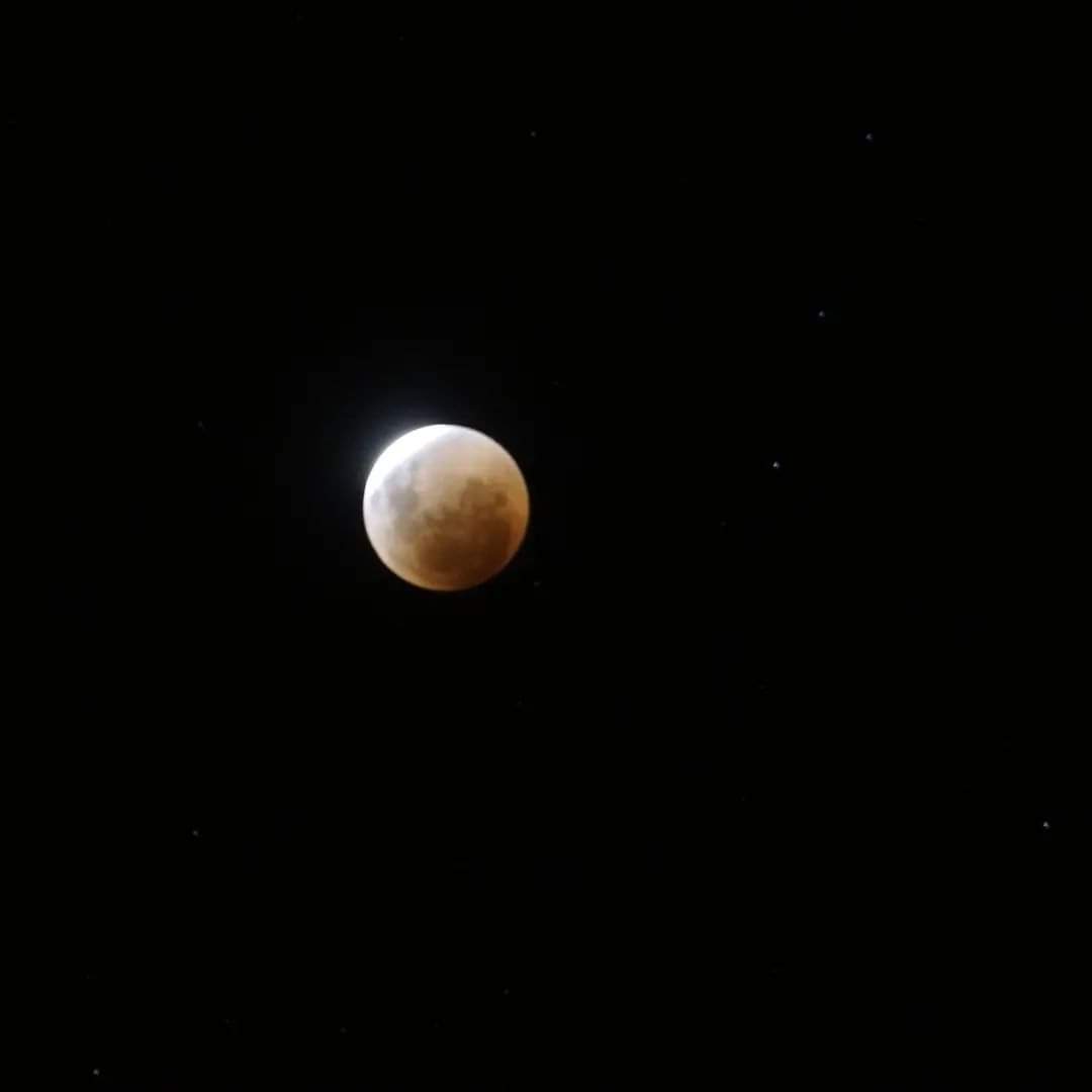 NadiaAstudillo1's tweet photo. Lunita hermosa
#LunaDeSangre #LunaRoja #LunaLlena #lunareclipse2022 https://t.co/J73fnuPhfN