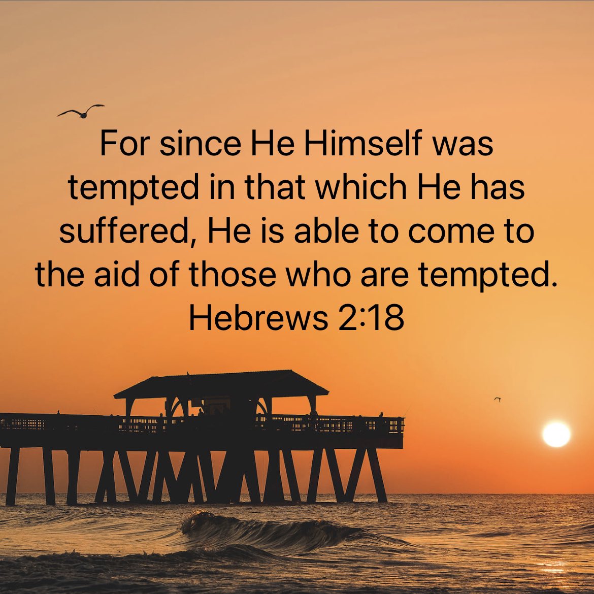 ItsMissYvette's tweet photo. “For since He Himself was tempted in that which He has suffered, He is able to come to the aid of those who are tempted.”
Hebrews 2:18 NASB1995

#Bible #Bibleverse #Godsword #Blessed #Jesus #jesuschrist #jesuslovesyou #7amFirePrayers #lunareclipse2022 https://t.co/NqecjZrGA8