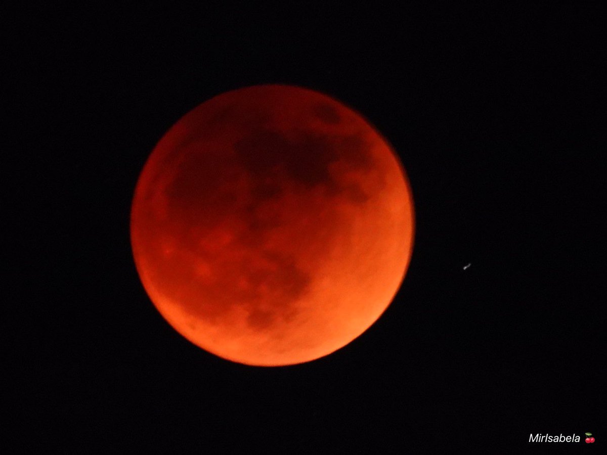 mirisabela's tweet photo. @webcamsdemexico @SkyAlertMx el eclipse ahora desde Naucalpan https://t.co/EYkz7SUUTe