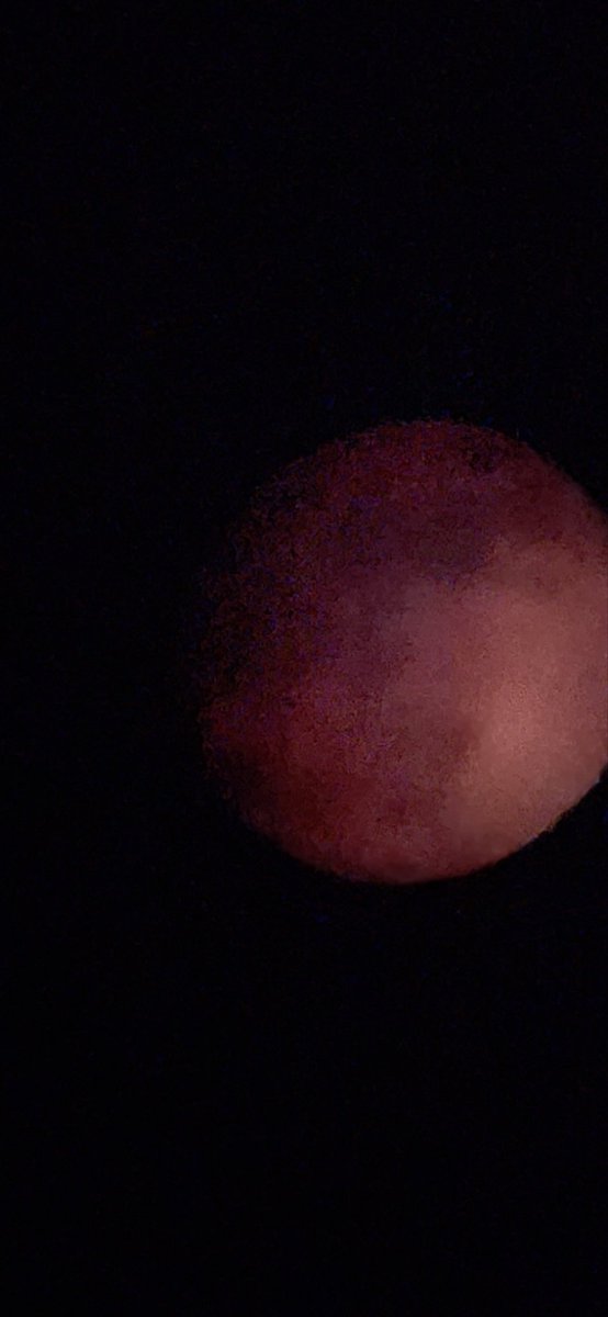 angelabrego's tweet photo. Not bad for a home telescope #moon #california https://t.co/z83ufhp3nz
