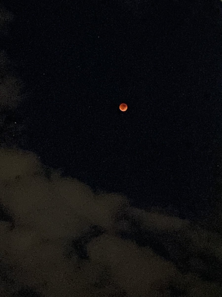 𝚔𝚊𝚒𝚛𝚊🦂 tweet media