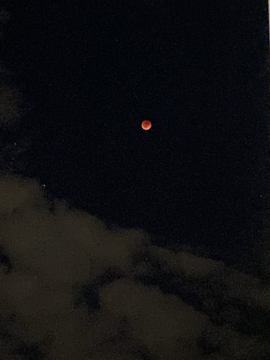 𝚔𝚊𝚒𝚛𝚊🦂 tweet media