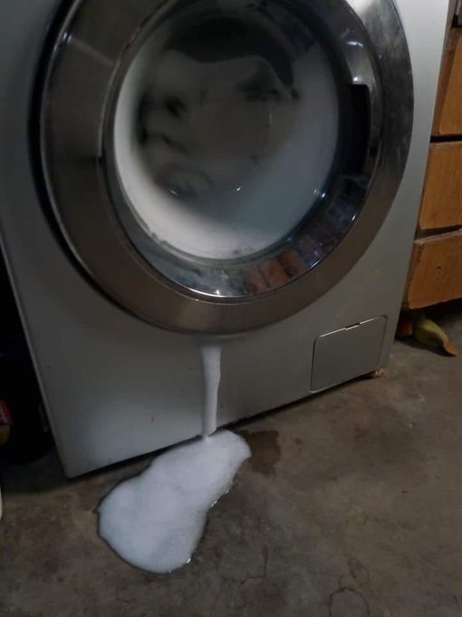 Shift_Supr's tweet photo. Asi te ibas de mi casa y ahora ni saludas. https://t.co/TT0IlnnHoT