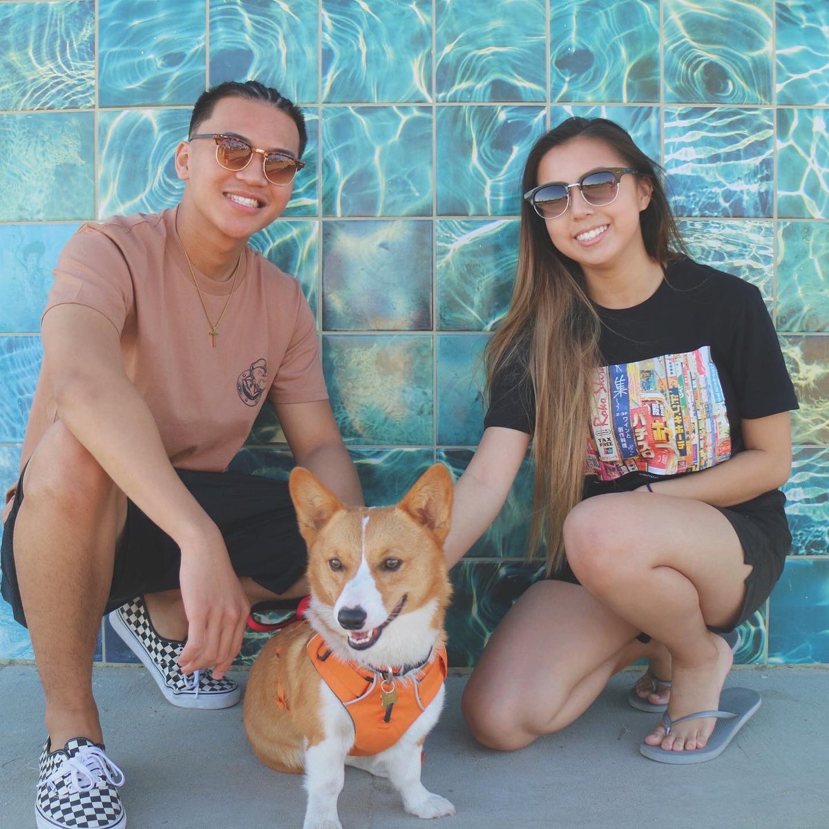 brianna_ngo's tweet photo. 2018 vs. 2022

We went from borrowing our friend’s dog to now having our own 🥺🐶 https://t.co/XoFhi5JD8m