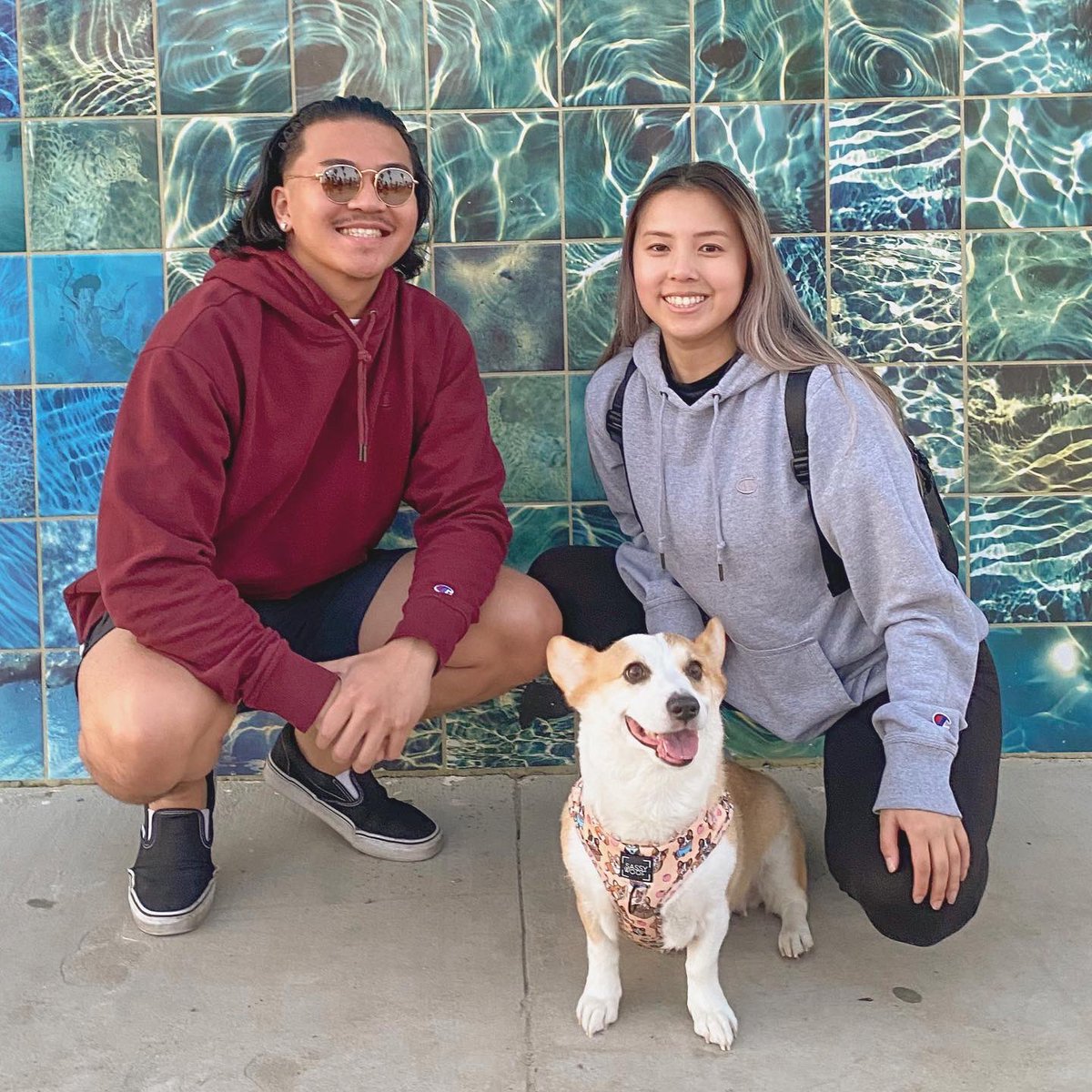 brianna_ngo's tweet photo. 2018 vs. 2022

We went from borrowing our friend’s dog to now having our own 🥺🐶 https://t.co/XoFhi5JD8m