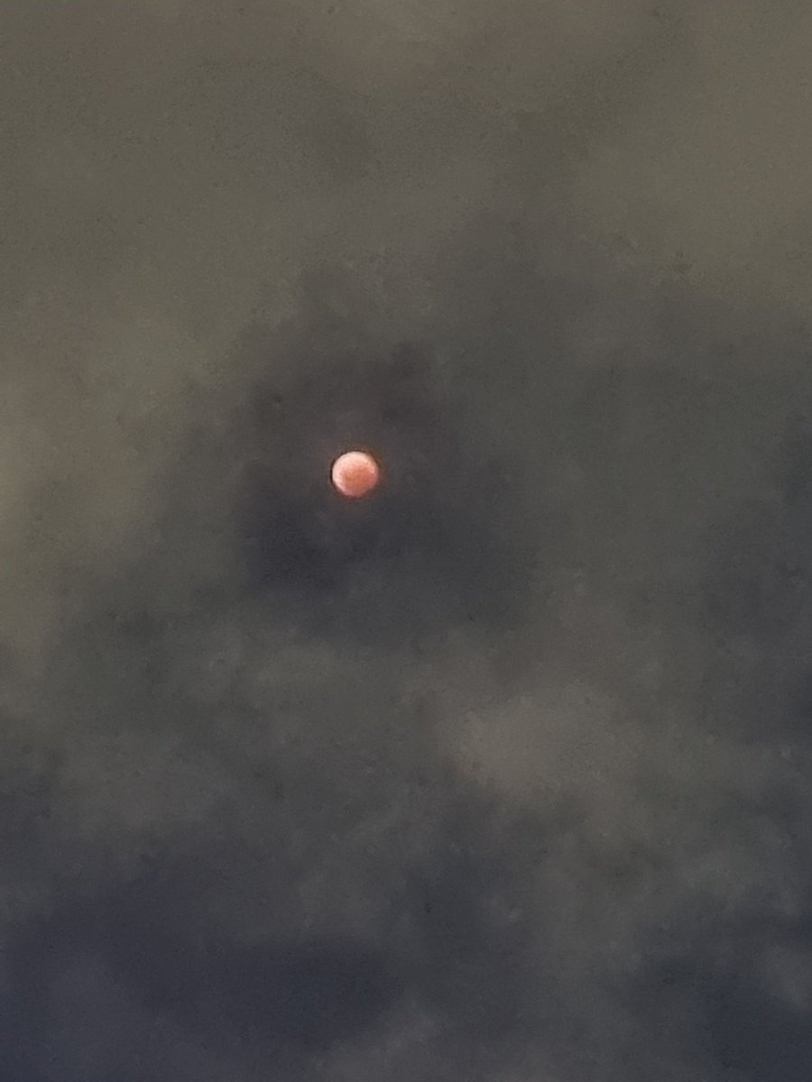 tefh03's tweet photo. #eclipseTN https://t.co/Sn6UrPoaew