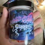 Photo by Stoned Gnomes (@StonedGnomes)