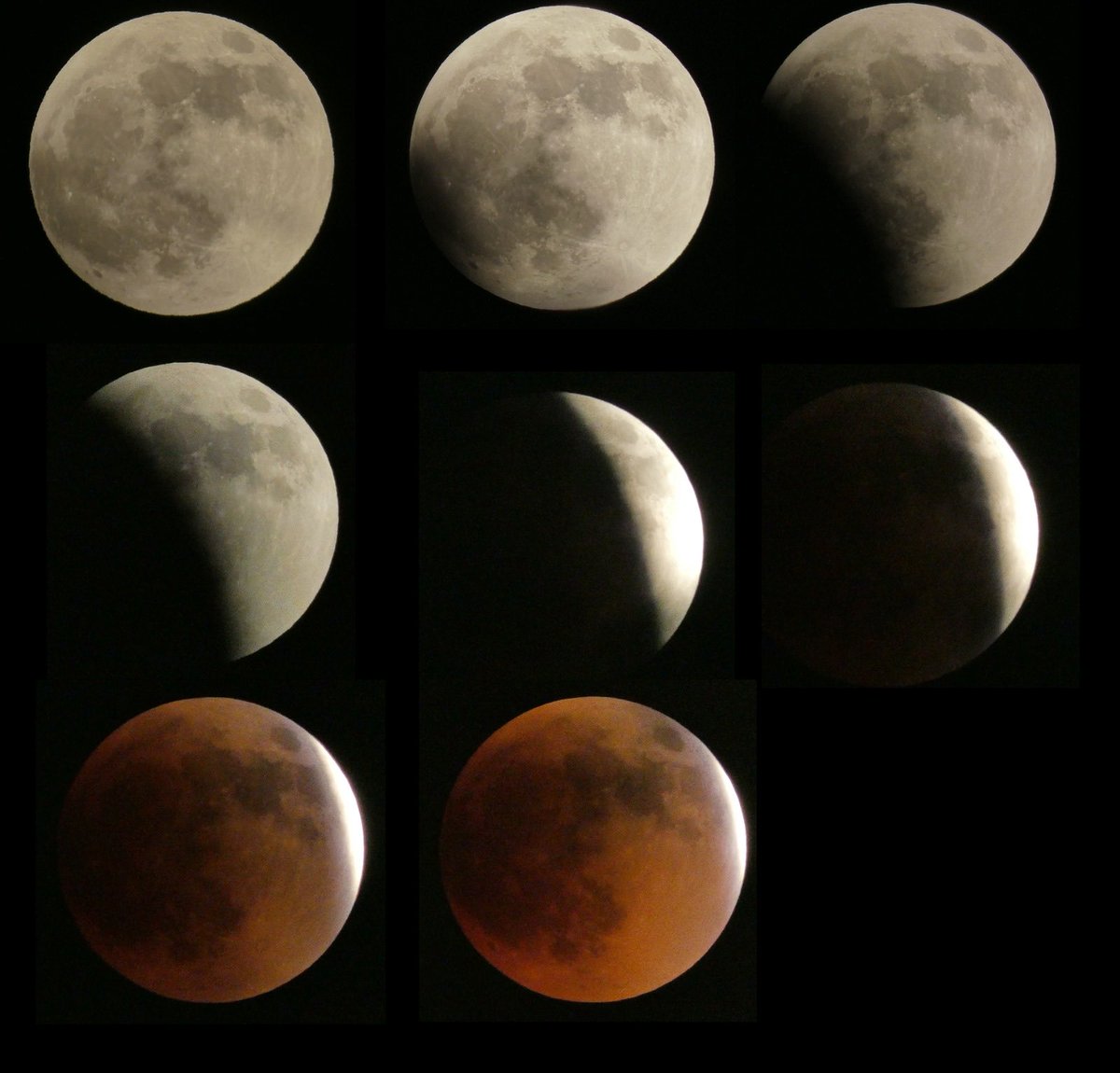 Javier_Ramis's tweet photo. The eclipse in 8 images https://t.co/bqgogKnOs2