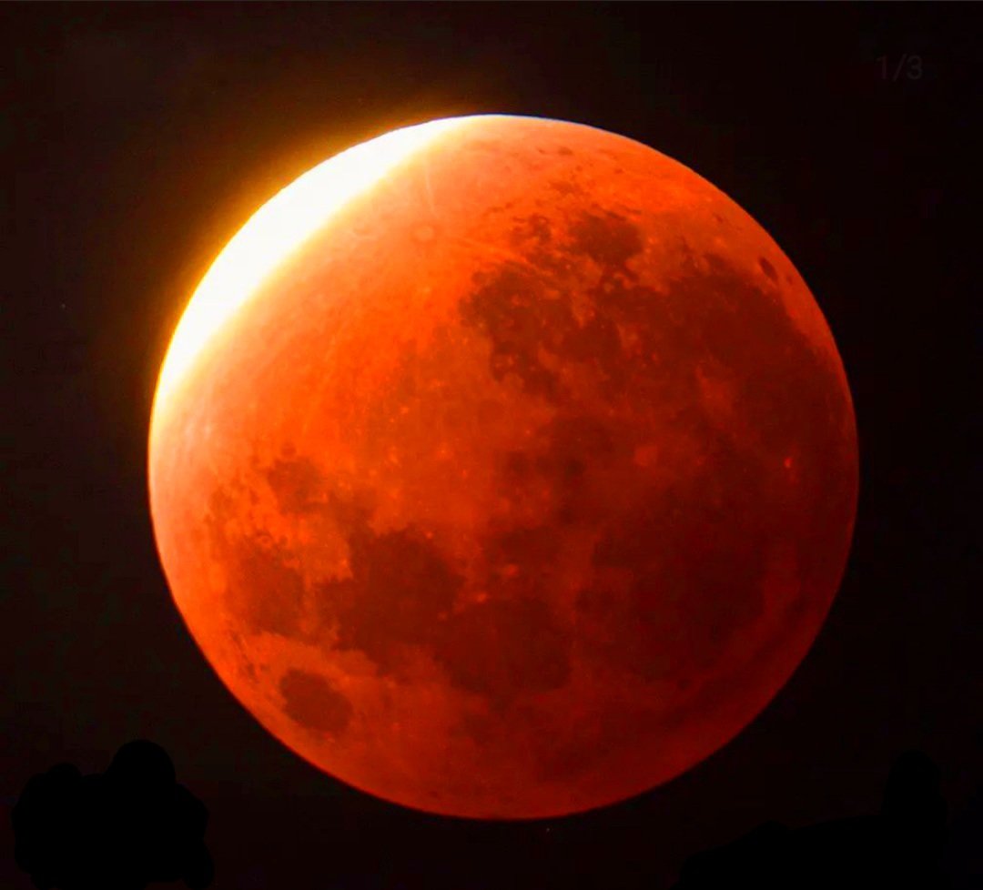 NadiaAstudillo1's tweet photo. #EclipseLunar https://t.co/eyET6Gimf7