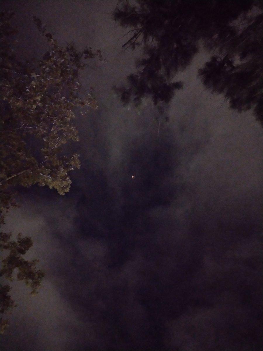 partedelshow40's tweet photo. Al final, las nubes nos permitieron ver, por momentos, el eclipse desde Buenos Aires
#EclipseLunar #EclipseTotaldeLuna #eclipseTN #LunaDeSangre @planetarioBA https://t.co/xoTdgRUgh6