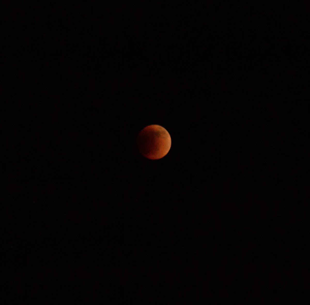 MichelleRanall2's tweet photo. #EclipseLunar no puedo explicar la felicidad que me transmite el ver la luna 🌑 https://t.co/mWBE4Hig5R