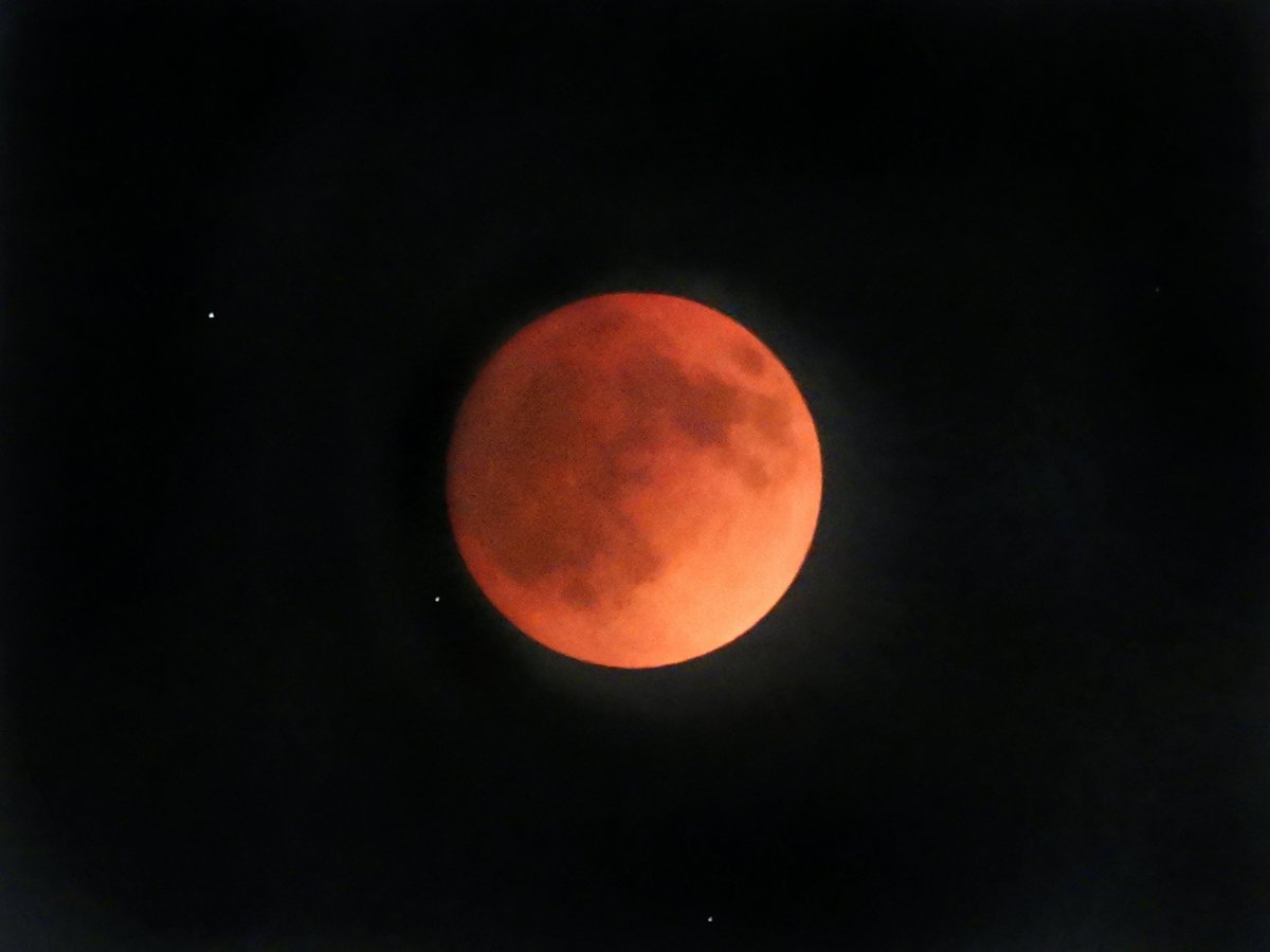 BirdCentralPark's tweet photo. Our view from Manhattan of the Super Flower Blood Moon lunar eclipse tonight. https://t.co/47us6OFv9z