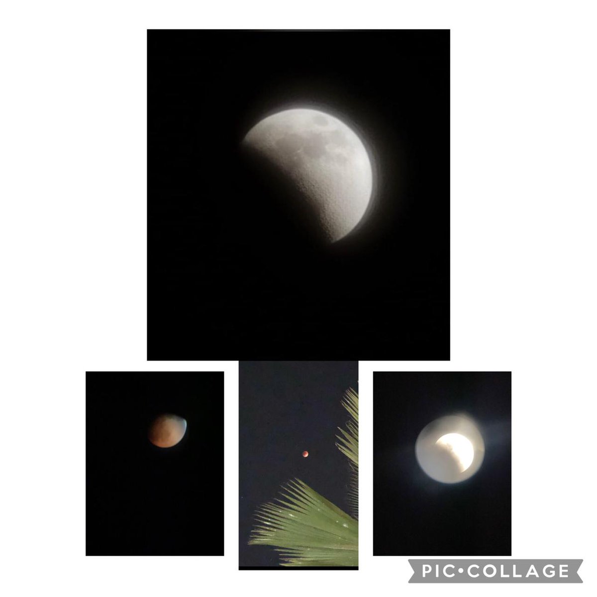 BerthaByas's tweet photo. #RomanceDePrimavera
#EclipseSolLuna
#NaturalSolLuna
#DiosDeAmor
Amor,Paz ,Salud ,éxitos, son regalos que Dios nos dá para ser felices, esa es la primavera de la vida del ser humano. Pero cada primavera trae su invierno para que agradezcamos ese regalo Divino! https://t.co/myN0hIl4AA