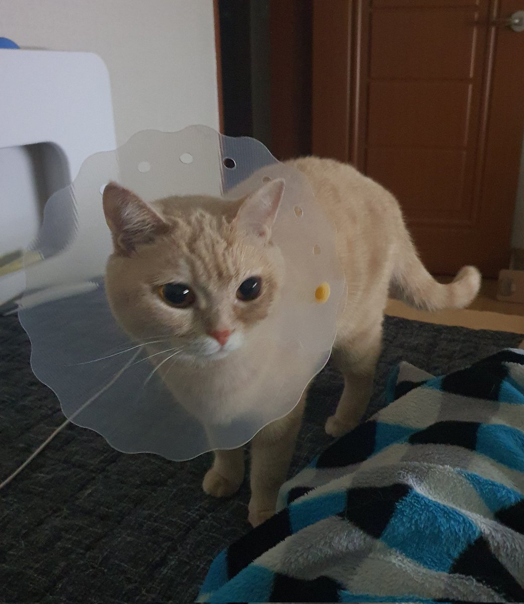 popcorn__0's tweet photo. https://t.co/cmCdW4052g