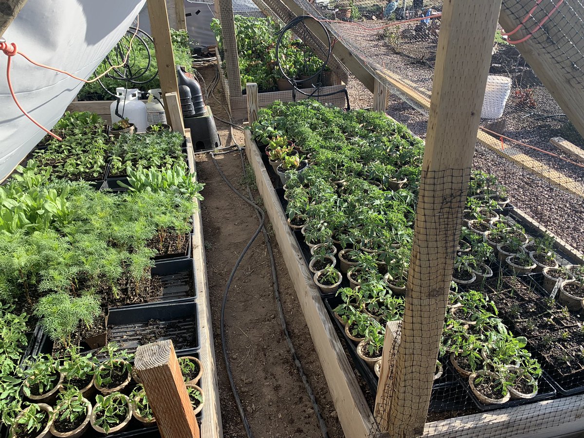 BackyardPrep tweet picture