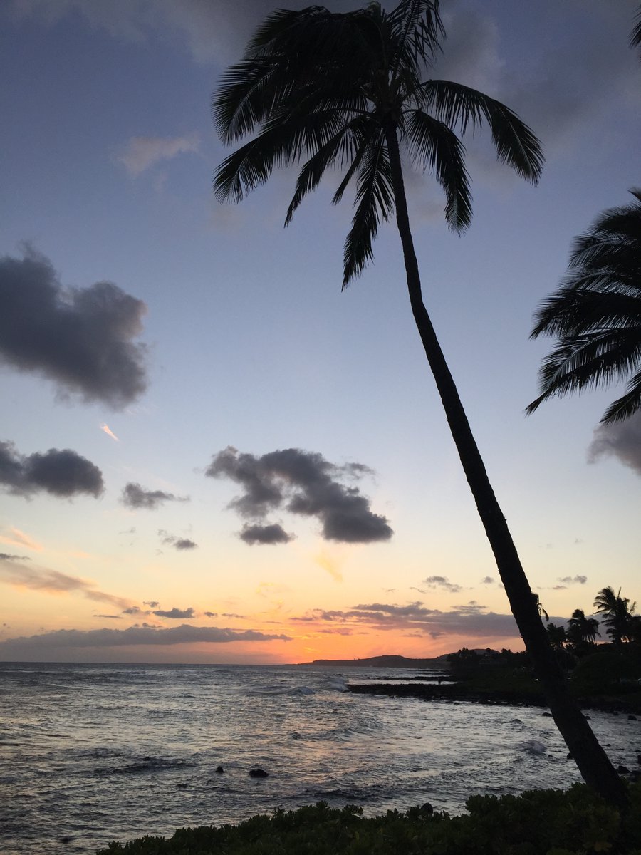 RT @7th_Order: 7th Order wishes their friends everywhere a great week from the Big Island of Hawaii!
#oahu #honolulu #hawaiipictures #hawaii #picoftheday #indie #nature #photography #palmtrees #coconut #sunsets #sunsetphotography  #hawaiilife #aloha #dan…
