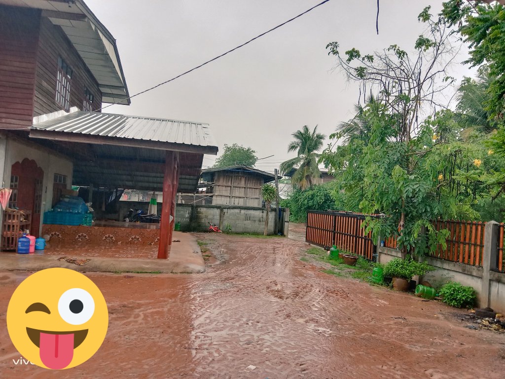 biw_0901's tweet photo. "ฝนตก"บรรยากาศดี  มันน่า.....😝😝 https://t.co/xqKRfoVOva