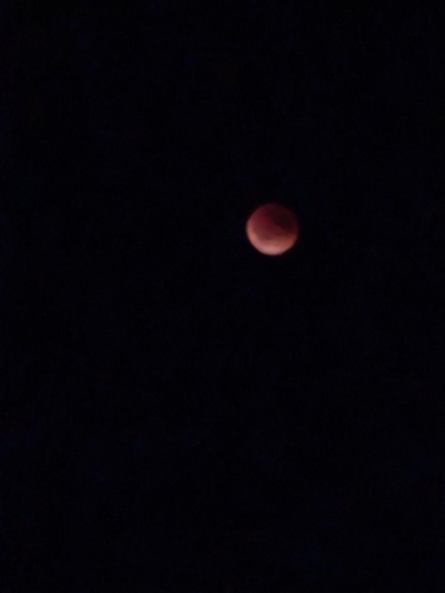 lumarlaw's tweet photo. #eclipseTN eclipse de luna desde Corrientes ! https://t.co/RYN70GJnRn