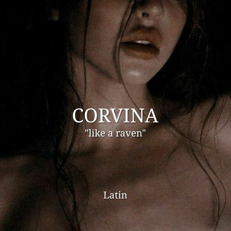 CrumpHansted's tweet photo. Words that sound like names  #musingmonday #wordprompts
Corvina, Daciana, Melantha, Verena
#WritingCommunity 😉 https://t.co/IUx8Bj2zOs
