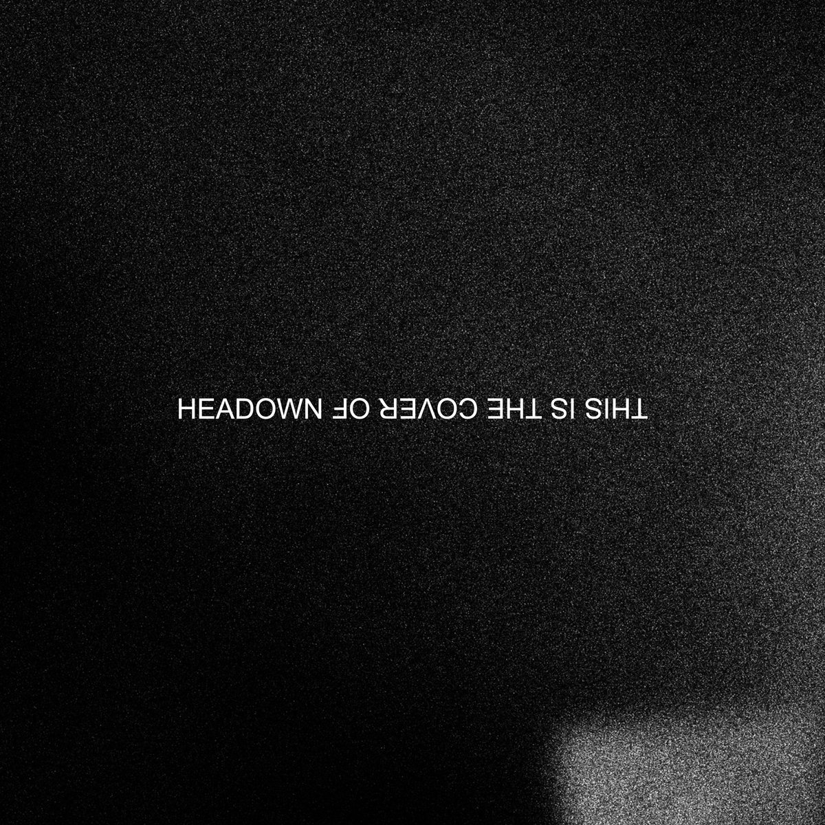 yellowstraps tweet media