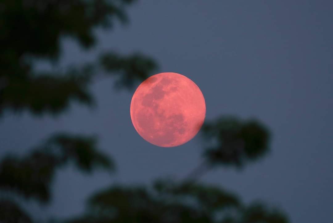 Sir_Yehoshua's tweet photo. The #RedBloodMoon occurred on #PesachSheni (#SecondPassover) & is God's divine plan for our lives. 🙏🙌 https://t.co/QaKqwrvslb