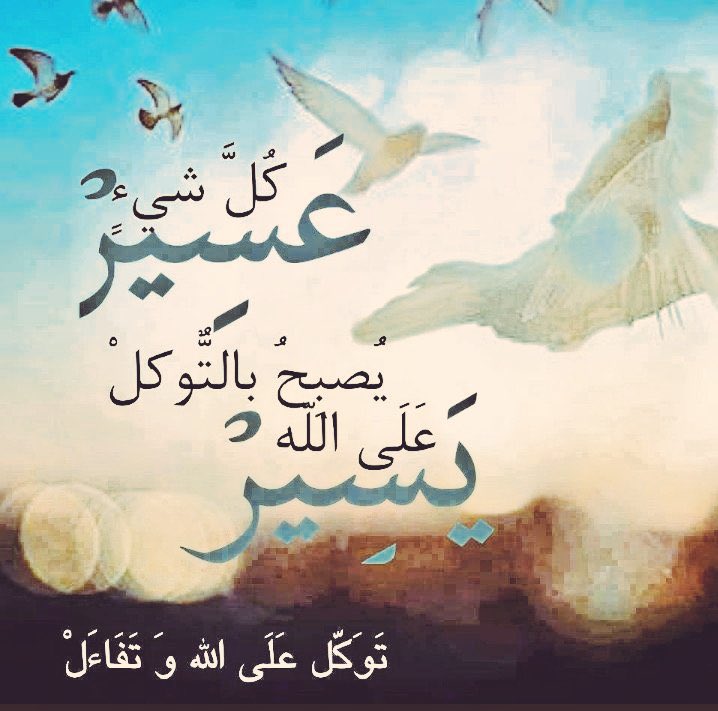 alqbabnh's tweet photo. https://t.co/St9JS7Zrz8