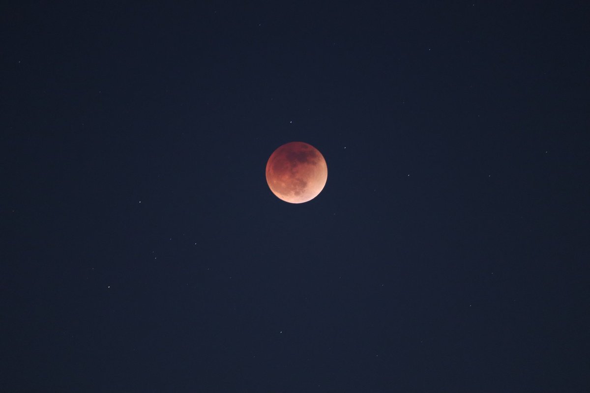 jamison_115's tweet photo. Blood moon tonight looks cool https://t.co/XTe4i5yLc6