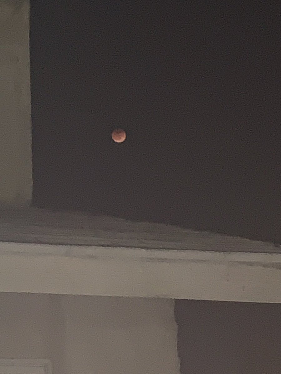 The Last Relic FUNDED 🔛 Kickstarter! tweet media