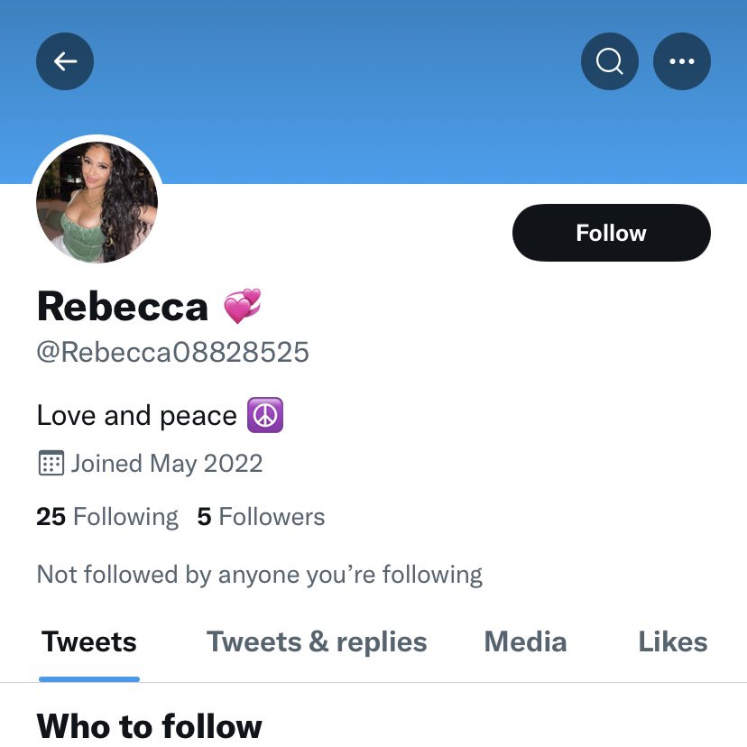 DrTabathaBoyko's tweet photo. Look at these #scammer accounts that @Twitter allows on its platform. They all shill for so called Instagram recovery accounts. They are nothing but scammers and fakes yet this is allowed to continue https://t.co/o1CiVNqCb8