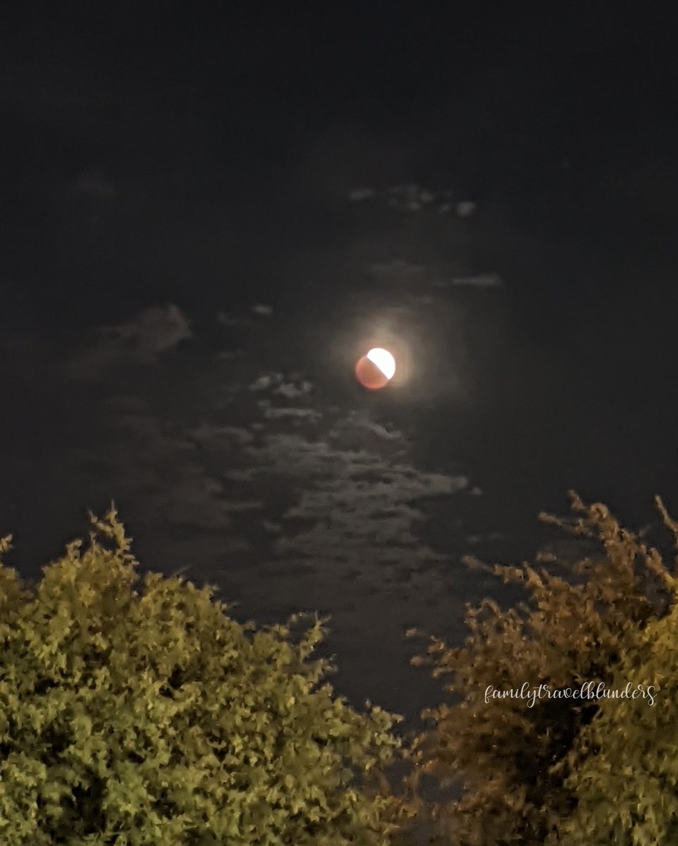 famtravblunders's tweet photo. Super Flower Blood Moon Lunar Eclipse

#lunareclipse #bloodmoon #flowermoon #natureisawesome #googlepixelpicture #lovemygooglepixel #naturephotography #lovenature #familytravelblunders

*All photos our own, no filters 📸
*See blog for blunders https://t.co/jFLp3SLFVO https://t.co/QOUKH00Su8