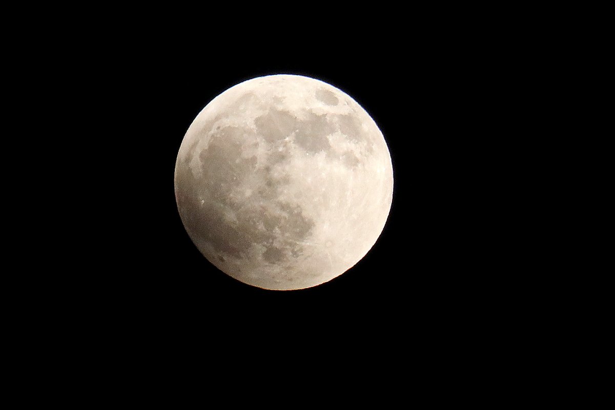 KellyHumphrey2's tweet photo. Got to cover a total lunar eclipse tonight. Fantastic weather, no clouds and no bugs. This was a fun assignment #lunareclipse2022 https://t.co/UP3plYuE6U