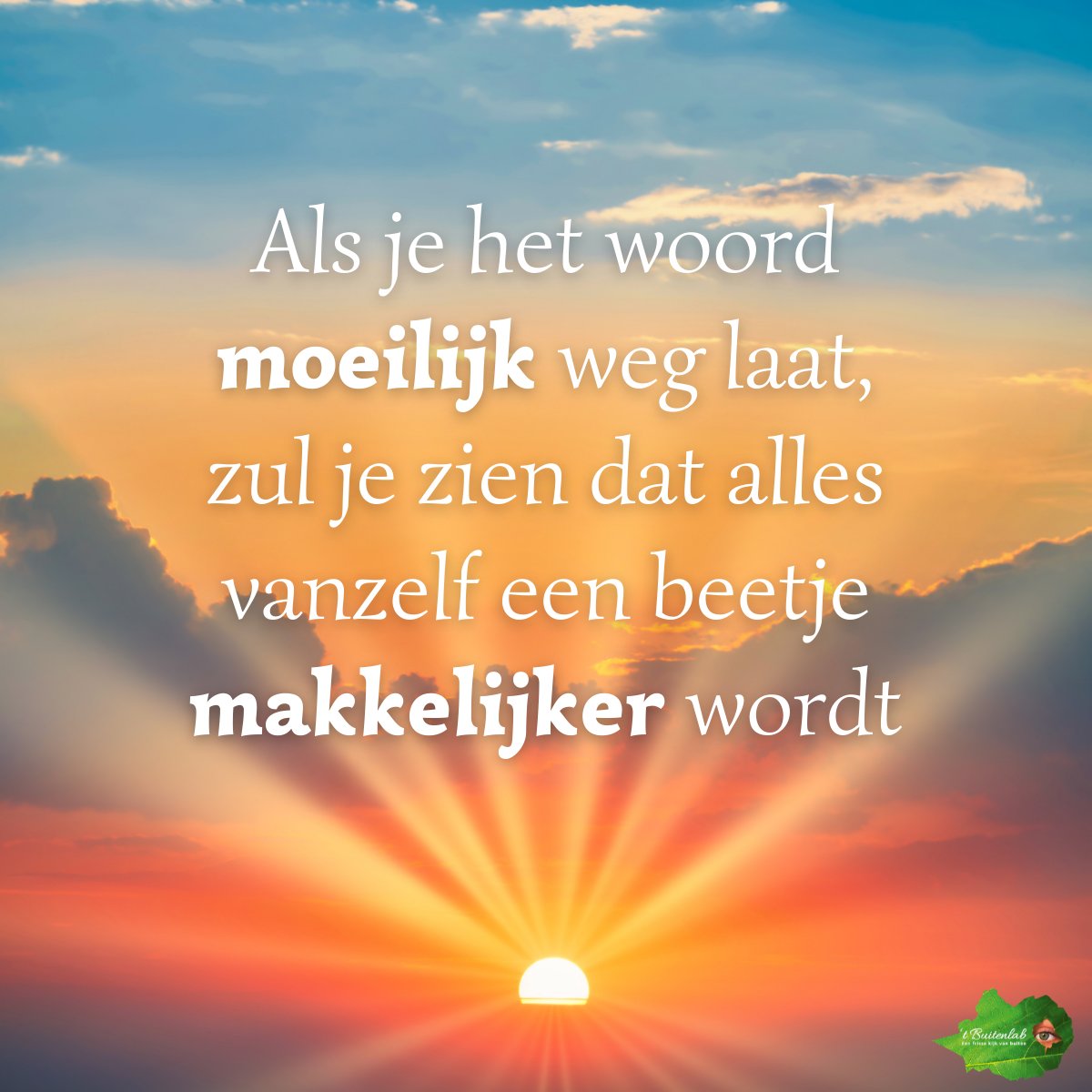 Liavanloo's tweet image. Als je het woord moeilijk weglaat, zul je zien dat alles vanzelf een beetje makkelijker wordt .....

Goede start van de week gewenst

#start #moeilijk #beginnen #ontspanning #buitenlab