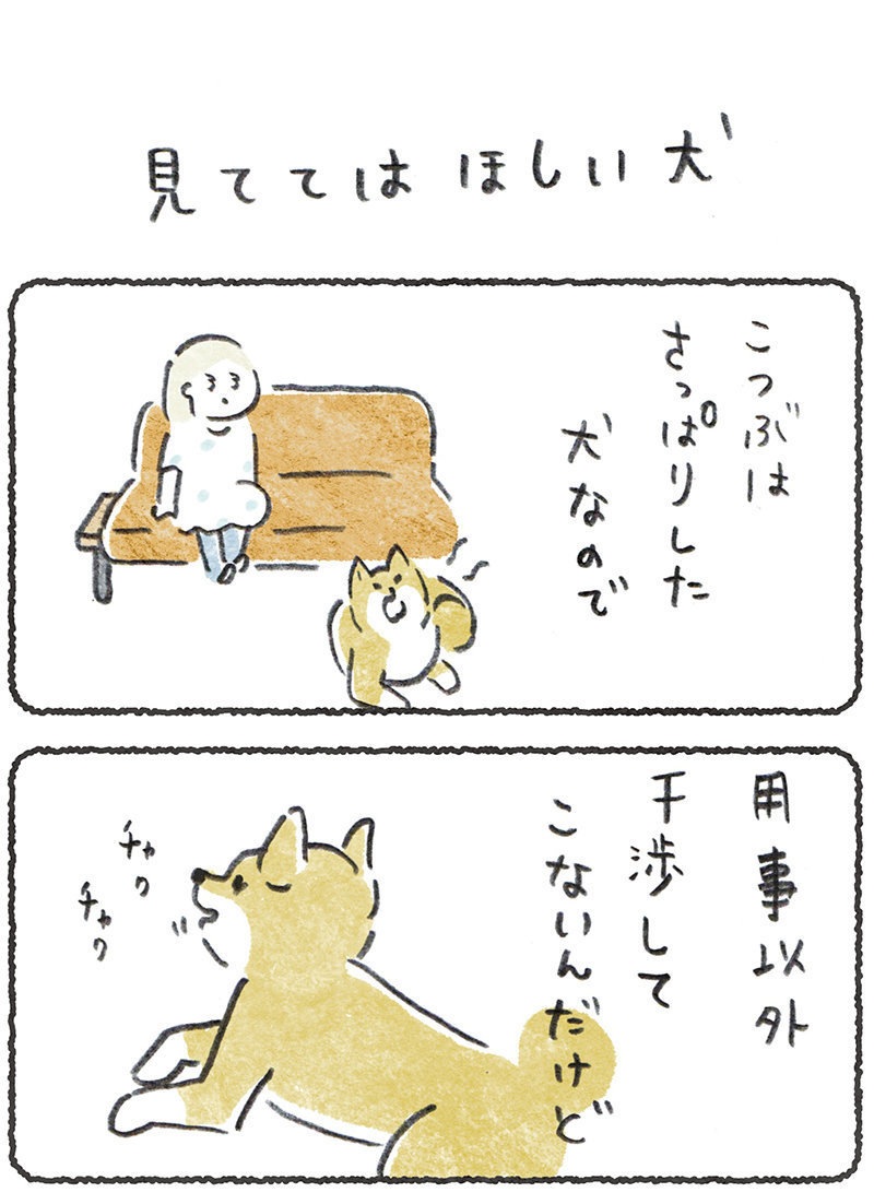 見ててはほしい犬

リプにつづき貼ります
#豆しばこつぶ 