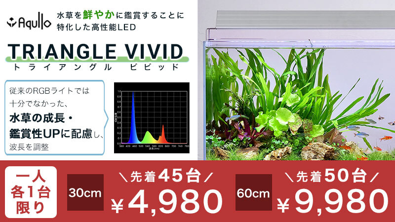 アクロトライアングル Twitter Search Twitter アクロトライアングル Twitter Search Twitter